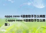 oppo reno 6语音助手怎么唤醒（oppo reno 6语音助手怎么唤醒）