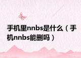 手机里nnbs是什么（手机nnbs能删吗）