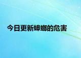 今日更新蟑螂的危害
