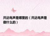 共达电声是哪里的（共达电声是做什么的）