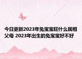 今日更新2023年兔宝宝旺什么属相父母 2023年出生的兔宝宝好不好