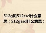 512g和512ssd什么意思（512gssd什么意思）