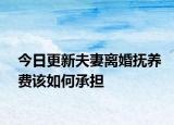 今日更新夫妻离婚抚养费该如何承担