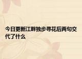 今日更新江畔独步寻花后两句交代了什么