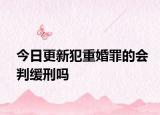 今日更新犯重婚罪的会判缓刑吗