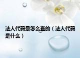 法人代码是怎么查的（法人代码是什么）
