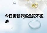 今日更新养鲨鱼犯不犯法