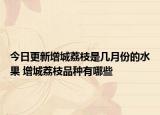 今日更新增城荔枝是几月份的水果 增城荔枝品种有哪些