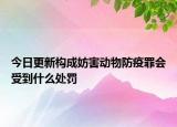 今日更新构成妨害动物防疫罪会受到什么处罚