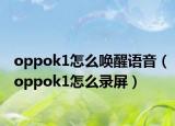 oppok1怎么唤醒语音（oppok1怎么录屏）