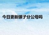 今日更新骡子分公母吗