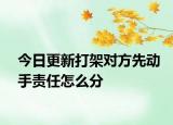 今日更新打架对方先动手责任怎么分