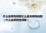 什么是原则问题什么是非原则问题（什么是原则性问题）