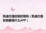 凯迪仕指纹锁好用吗（凯迪仕指纹锁都用什么APP）