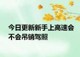 今日更新新手上高速会不会吊销驾照