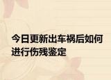 今日更新出车祸后如何进行伤残鉴定
