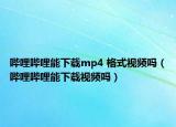 哔哩哔哩能下载mp4 格式视频吗（哔哩哔哩能下载视频吗）