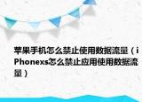 苹果手机怎么禁止使用数据流量（iPhonexs怎么禁止应用使用数据流量）
