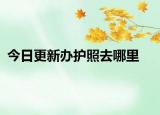 今日更新办护照去哪里