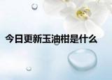今日更新玉油柑是什么