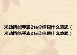 米动智能手表2te分值是什么意思（米动智能手表2te分值是什么意思）