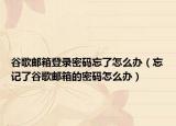 谷歌邮箱登录密码忘了怎么办（忘记了谷歌邮箱的密码怎么办）