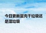 今日更新蛋壳干垃圾还是湿垃圾