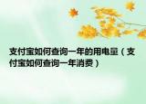 支付宝如何查询一年的用电量（支付宝如何查询一年消费）