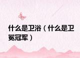 什么是卫浴（什么是卫冕冠军）