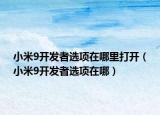 小米9开发者选项在哪里打开（小米9开发者选项在哪）