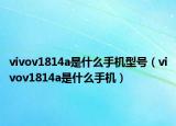 vivov1814a是什么手机型号（vivov1814a是什么手机）
