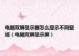 电脑双屏显示器怎么显示不同壁纸（电脑双屏显示屏）