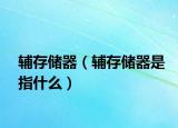 辅存储器（辅存储器是指什么）