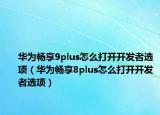 华为畅享9plus怎么打开开发者选项（华为畅享8plus怎么打开开发者选项）