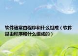 软件通常由程序和什么组成（软件是由程序和什么组成的）