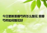 今日更新重瓣芍药怎么醒花 重瓣芍药如何醒花好