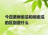 今日更新密瓜和哈密瓜的区别是什么