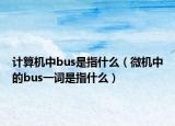 计算机中bus是指什么（微机中的bus一词是指什么）