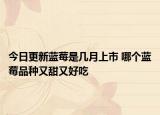 今日更新蓝莓是几月上市 哪个蓝莓品种又甜又好吃