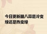 今日更新腊八蒜是冷变绿还是热变绿