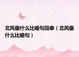 北风像什么比喻句简单（北风像什么比喻句）
