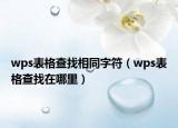 wps表格查找相同字符（wps表格查找在哪里）