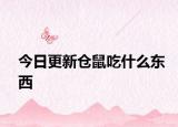 今日更新仓鼠吃什么东西