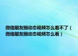 微信朋友圈动态视频怎么看不了（微信朋友圈动态视频怎么看）