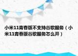 小米11青春版不支持谷歌服务（小米11青春版谷歌服务怎么开）