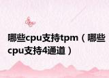 哪些cpu支持tpm（哪些cpu支持4通道）