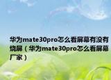 华为mate30pro怎么看屏幕有没有烧屏（华为mate30pro怎么看屏幕厂家）