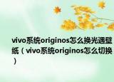 vivo系统originos怎么换光遇壁纸（vivo系统originos怎么切换）