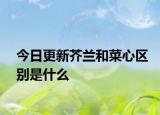今日更新芥兰和菜心区别是什么