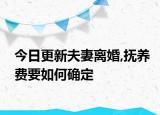 今日更新夫妻离婚,抚养费要如何确定